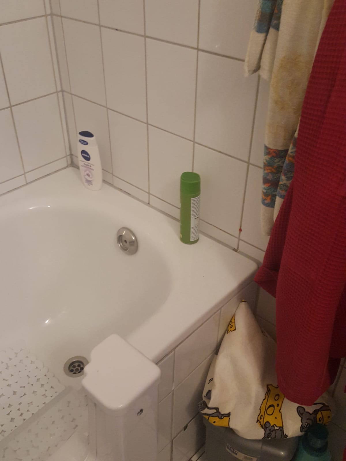 Pflegebad Wanne zu Dusche von IHS Berlin